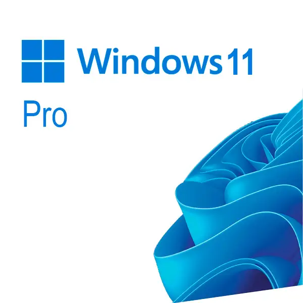 Windows 11 Pro